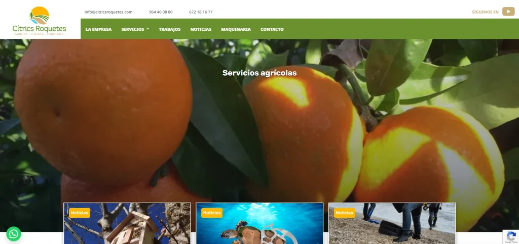 Cítrics Roquetes